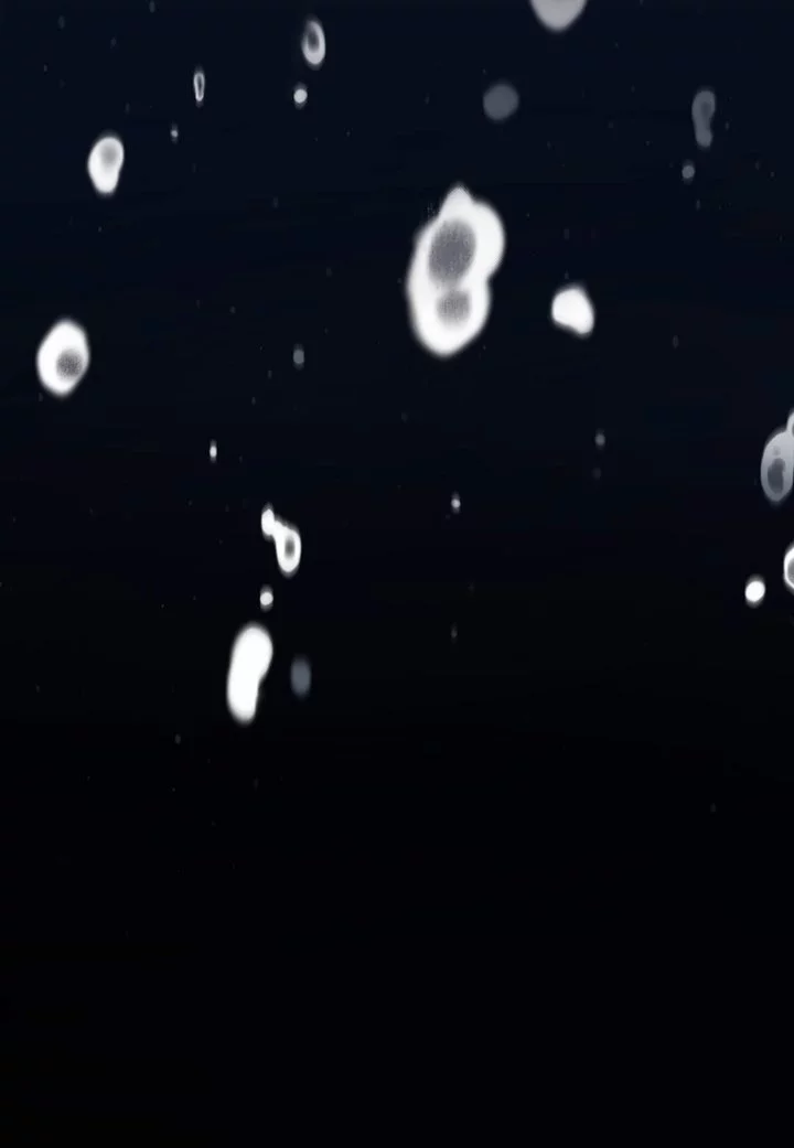 Manga page 44