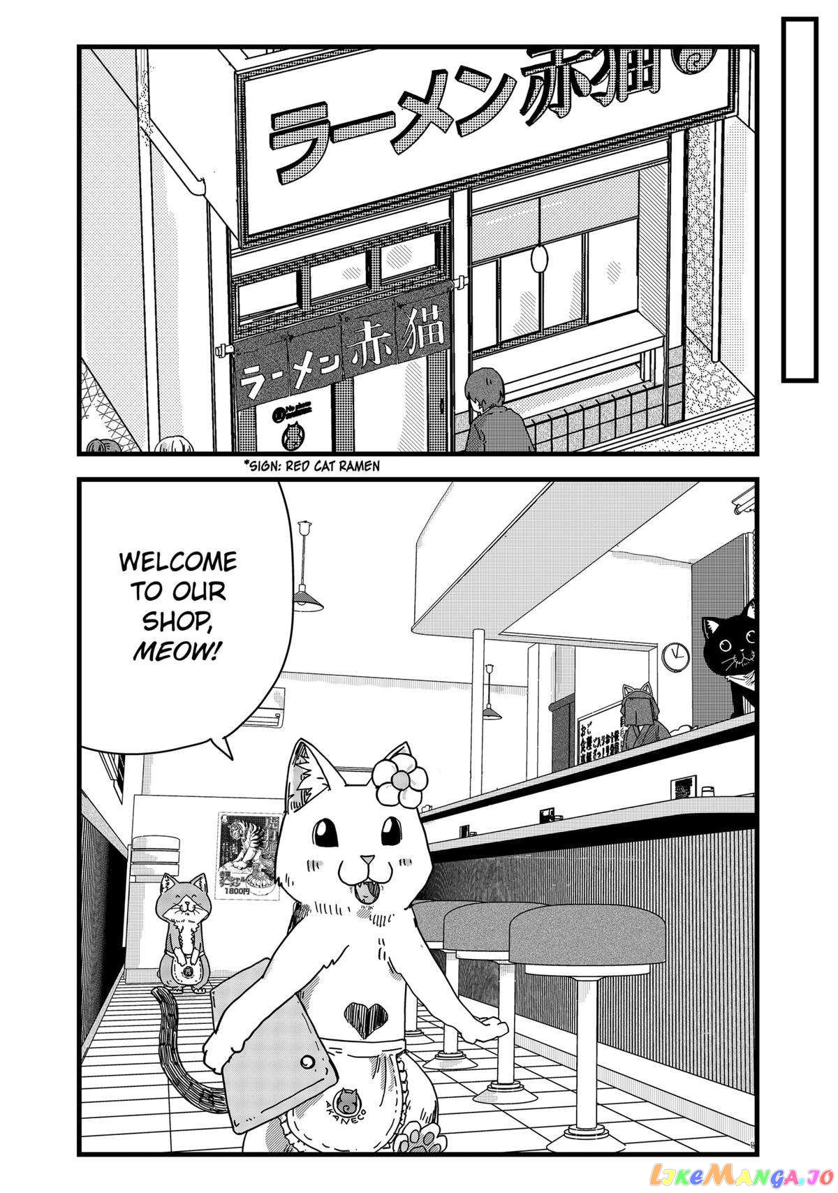 Manga page 13